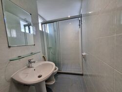 Dunearn Road (D11), Condominium #484958841